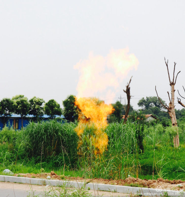 �S��ِ��ȼ?x��)��¹ʑ?y��ng)��̎���ݾ�